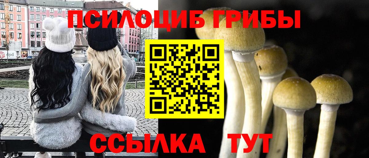Галлюциногенные грибы MAGIC MUSHROOMS Озёрск