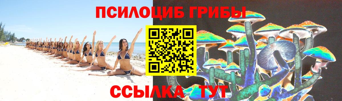 Галлюциногенные грибы Psilocybine cubensis  Вход с VPN  Озёрск 